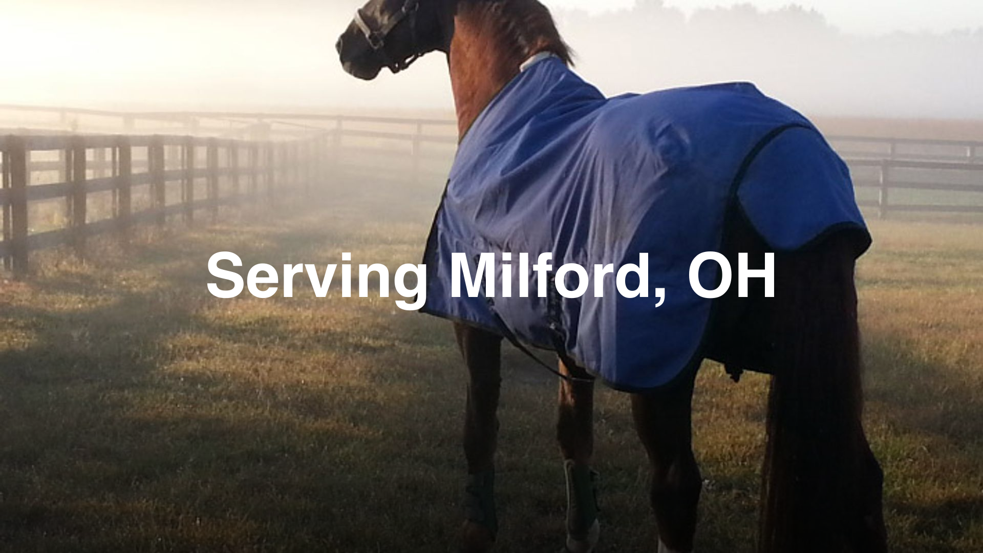 Experienced Classical Dressage Trainer in Milford, OH