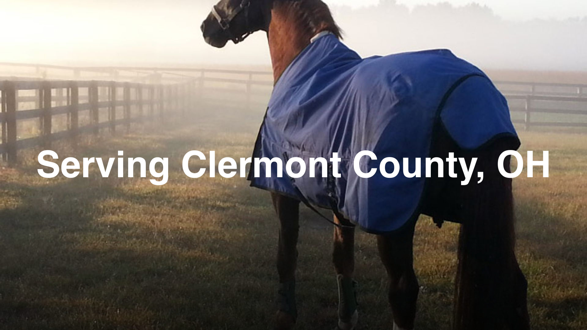 Experienced Classical Dressage Trainer in Clermont County