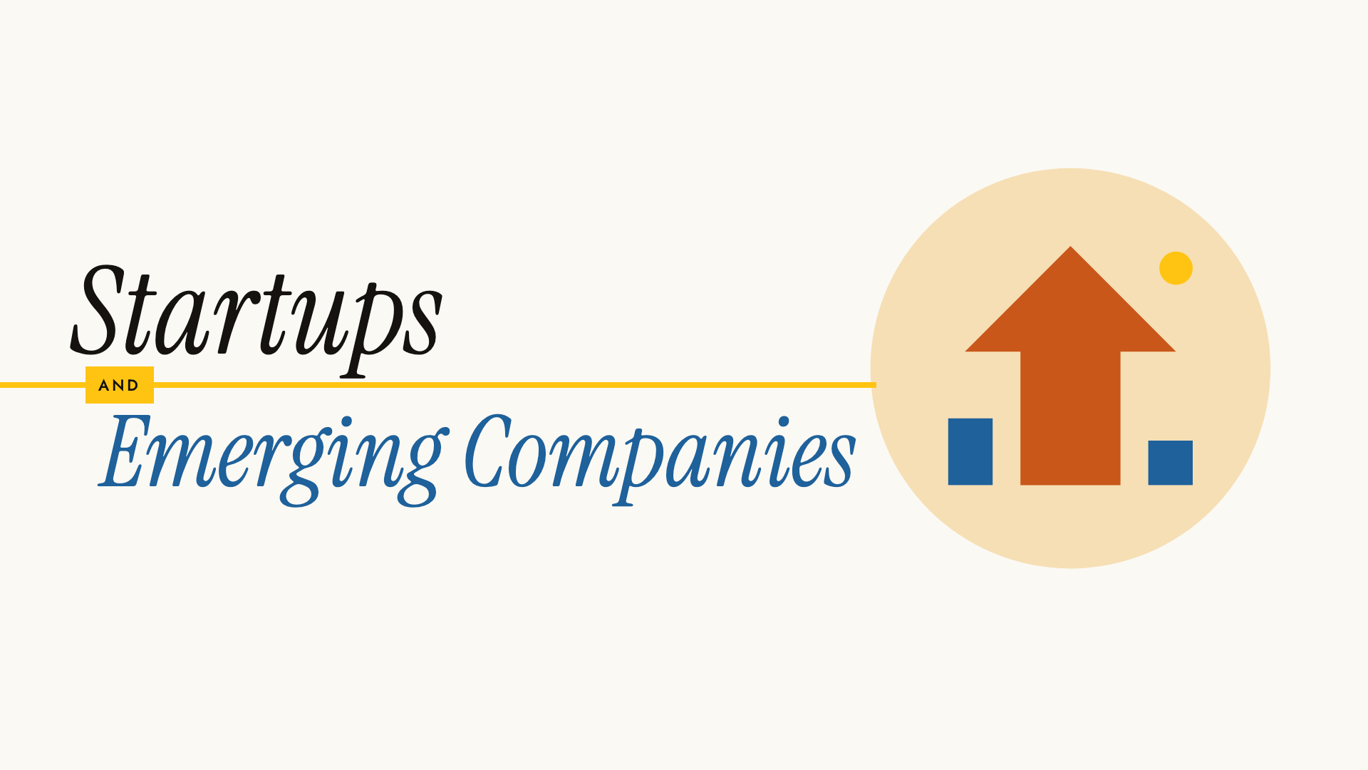 Startups and Emerging Companies
