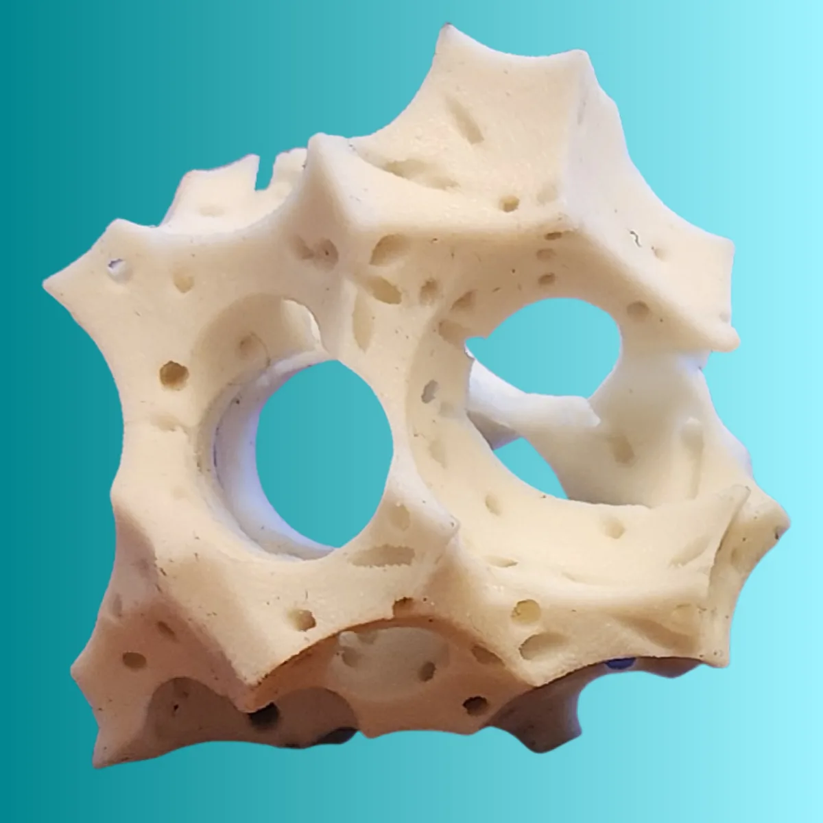 The bone graft surgeons reach for on revisions